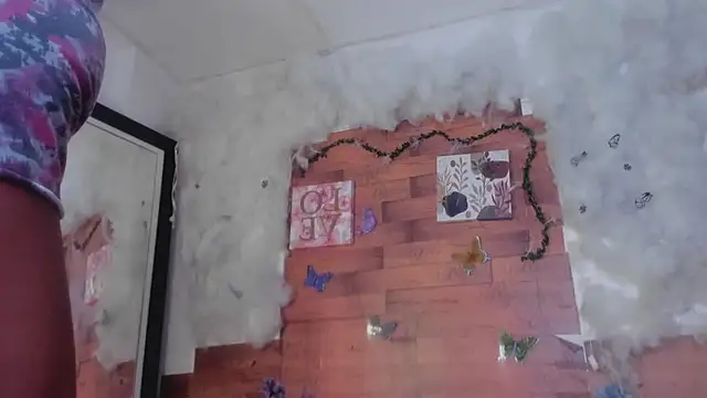 kelly thomson online show from January 2025 04:22:02 AM