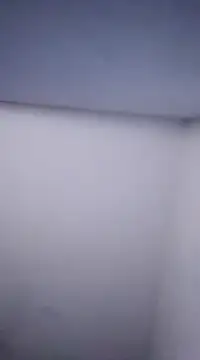 Snapshot of Dnbigo89 chatting on February 2025 01:21:02 PM Dnbigo89 online show from February 2025 01:21:02 PM