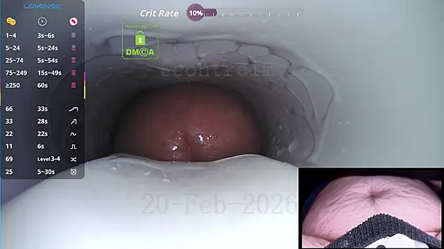 controlmytoys online show from February 2026 08:05:02 AM