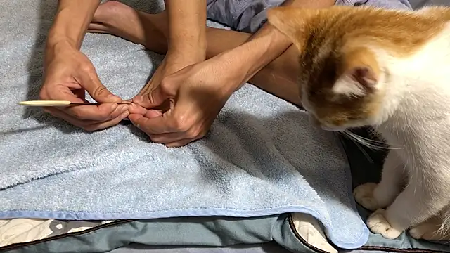 RiderFloor online show from February 2026 08:12:02 PM