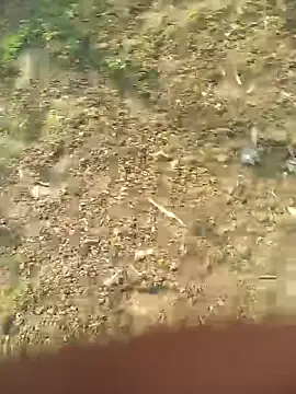 FinableKnee online show from October 2025 05:11:02 AM