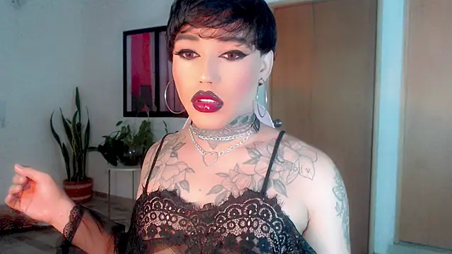 little star porn online show from January 2025 02:37:01 AM