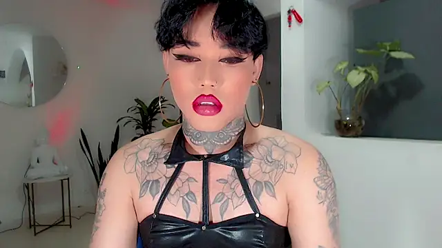 little star porn online show from October 2025 03:13:01 PM