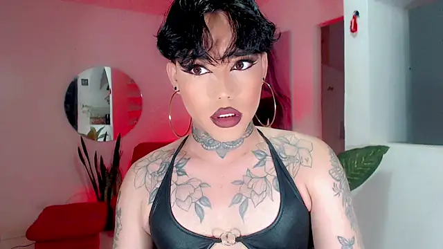 little star porn online show from November 2025 03:30:01 AM