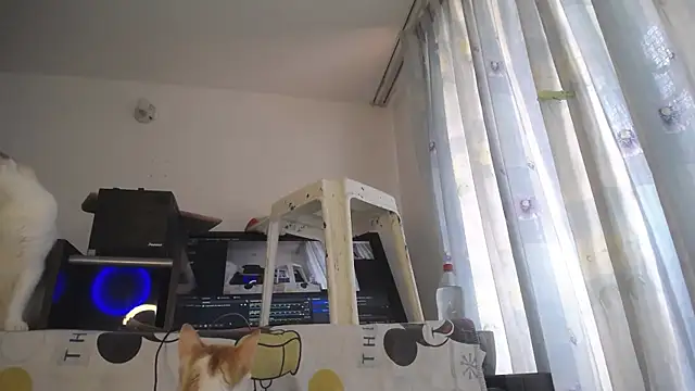 eolicasex online show from April 2026 04:26:01 PM