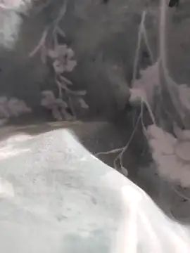 Elixire1 online show from January 2026 04:32:02 PM