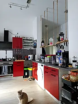 Trucker Hunter online show from March 2025 08:04:02 AM