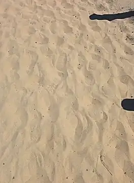 Trucker Hunter online show from September 2025 02:22:02 PM