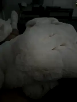 Furdale online show from November 2025 02:50:01 PM