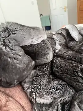 Furdale online show from April 2026 01:57:02 PM