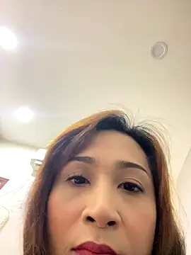 Sanieku online show from December 2025 05:20:02 PM