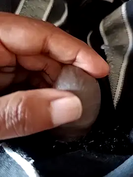 malluflash online show from February 2026 08:00:02 AM