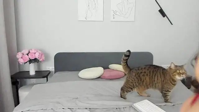 miss emily  online show from April 2026 10:45:01 PM