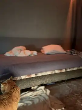 Bastet online show from January 2025 07:31:01 PM