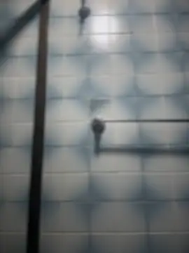 Tayra Siny online show from February 2025 01:50:01 PM