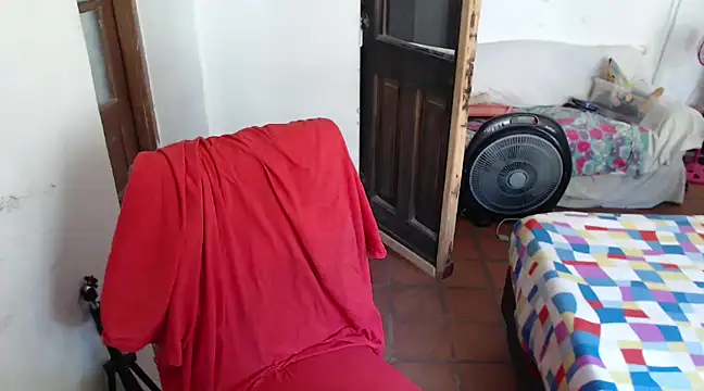 deftoolceles online show from December 2024 03:13:02 PM