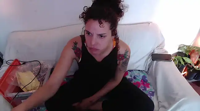 deftoolceles online show from December 2024 09:41:01 PM