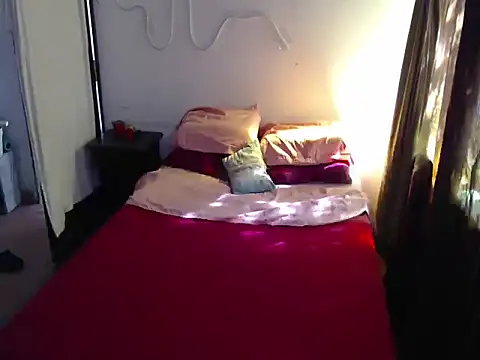 deftoolceles online show from January 2026 12:21:01 PM