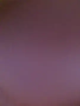 Snapshot of ToysLanka chatting on November 2025 08:42:01 AM ToysLanka online show from November 2025 08:42:01 AM