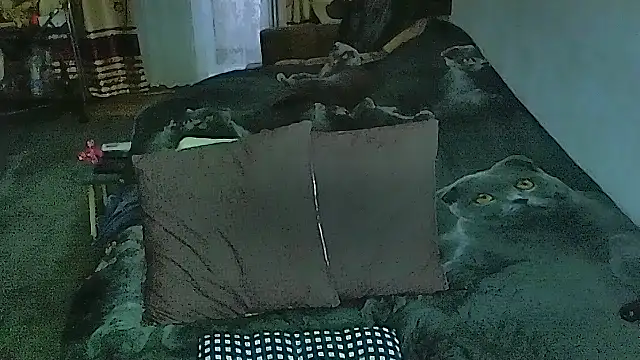 sex2 online show from April 2026 12:43:02 AM