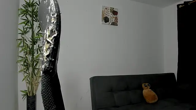 Snapshot of Giordano_Russo chatting on February 2025 03:33:02 AM Giordano Russo online show from February 2025 03:33:02 AM
