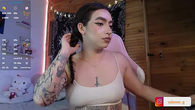 Snapshot of valenor_ chatting on February 2025 03:01:02 AM valenor online show from February 2025 03:01:02 AM