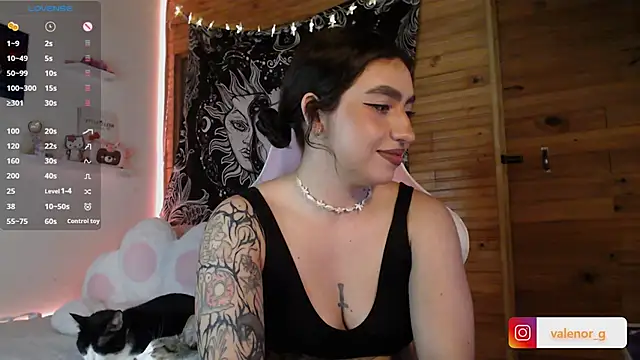 Snapshot of valenor_ chatting on February 2025 03:04:01 AM valenor online show from February 2025 03:04:01 AM
