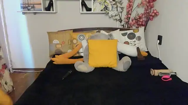 Stripchatlady online show from September 2025 02:22:01 AM