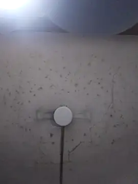 marie12345679 online show from February 2026 01:15:02 AM