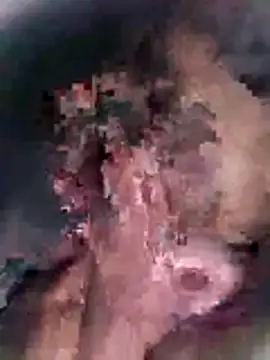 Pitercom online show from October 2025 12:13:01 AM