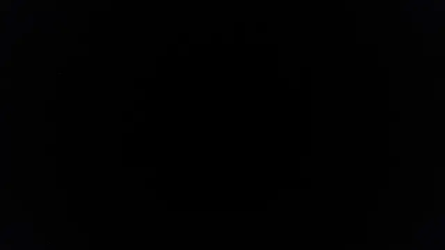Snapshot of palidin1 chatting on June 2026 07:41:02 PM palidin1 online show from June 2026 07:41:02 PM