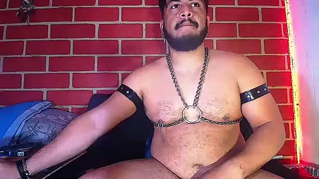 the master foal  online show from February 2025 10:00:01 AM