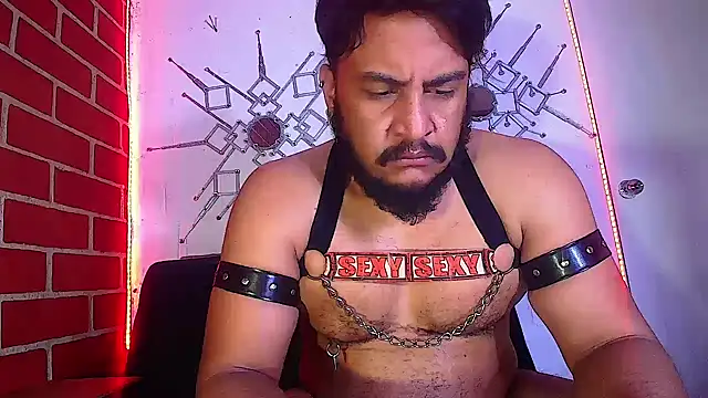 the master foal  online show from February 2025 11:05:01 AM