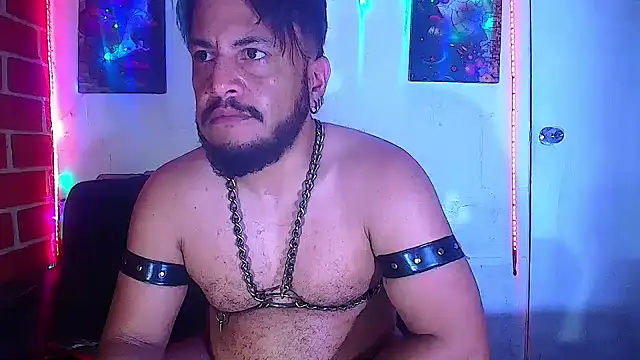 the master foal  online show from March 2025 01:50:02 PM