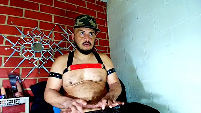 the master foal  online show from November 2025 03:01:02 PM