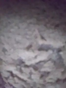 king-lobo-act online show from October 2025 02:19:01 PM