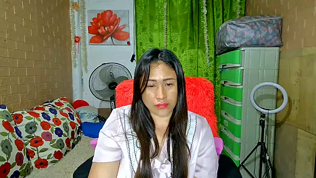 M e c e l online show from December 2024 02:16:02 PM