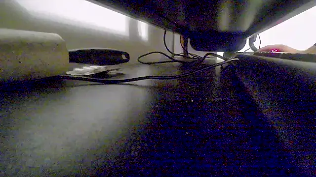 z3phs1337M online show from December 2024 11:13:02 PM