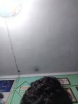 Suhailtyagi55 online show from January 2026 12:51:02 PM