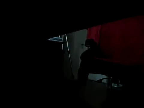 leccaleccafiga online show from February 2025 06:35:01 PM