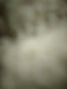 landy20cm online show from May 2026 08:21:02 AM