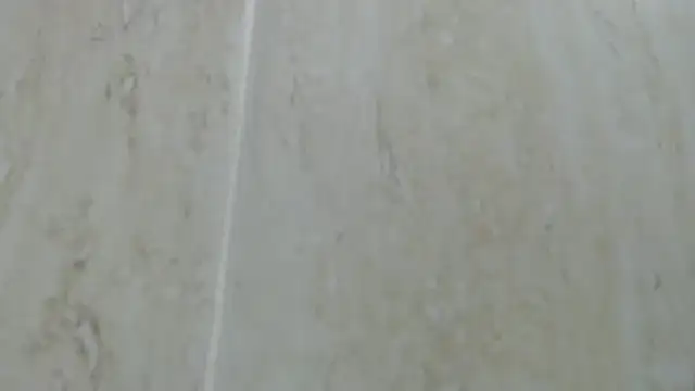 Crazy team  online show from December 2024 08:05:02 PM