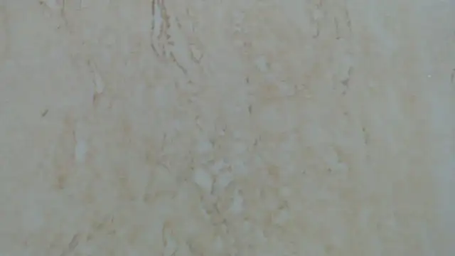 Crazy team  online show from December 2024 12:41:01 AM