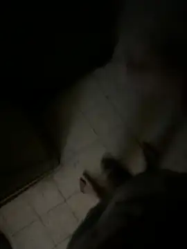 Dedoow online show from April 2026 10:44:01 PM