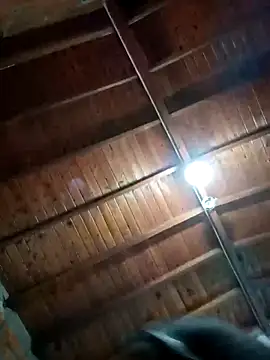 Bigassmommy x online show from November 2025 01:56:02 PM