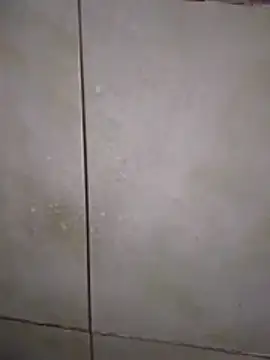 Xxxfill online show from November 2025 03:41:01 AM