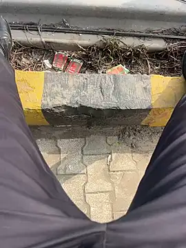 Bareilly Boy1 online show from January 2025 09:13:01 AM