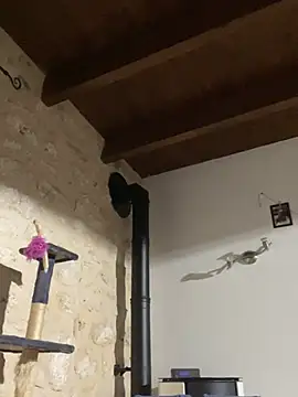 steph19x5 online show from December 2024 05:42:01 AM