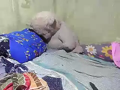 Snapshot of Alora-shine chatting on February 2025 09:21:02 AM Alora-shine online show from February 2025 09:21:02 AM