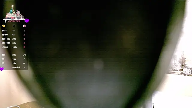 Snapshot of SerzhKorol1 chatting on December 2024 05:05:02 AM SerzhKorol1 online show from December 2024 05:05:02 AM